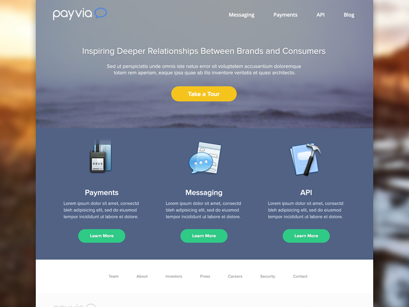 payvia_concept