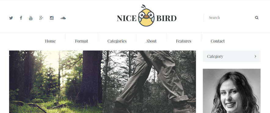 nice-bird-wp-theme