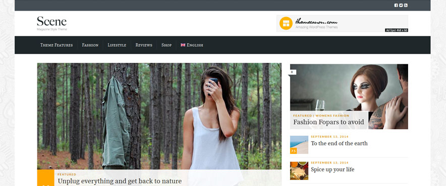 scene-wp-theme