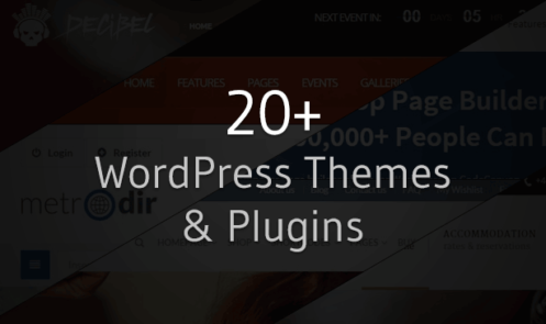 20+ Best WordPress Themes and Plugins