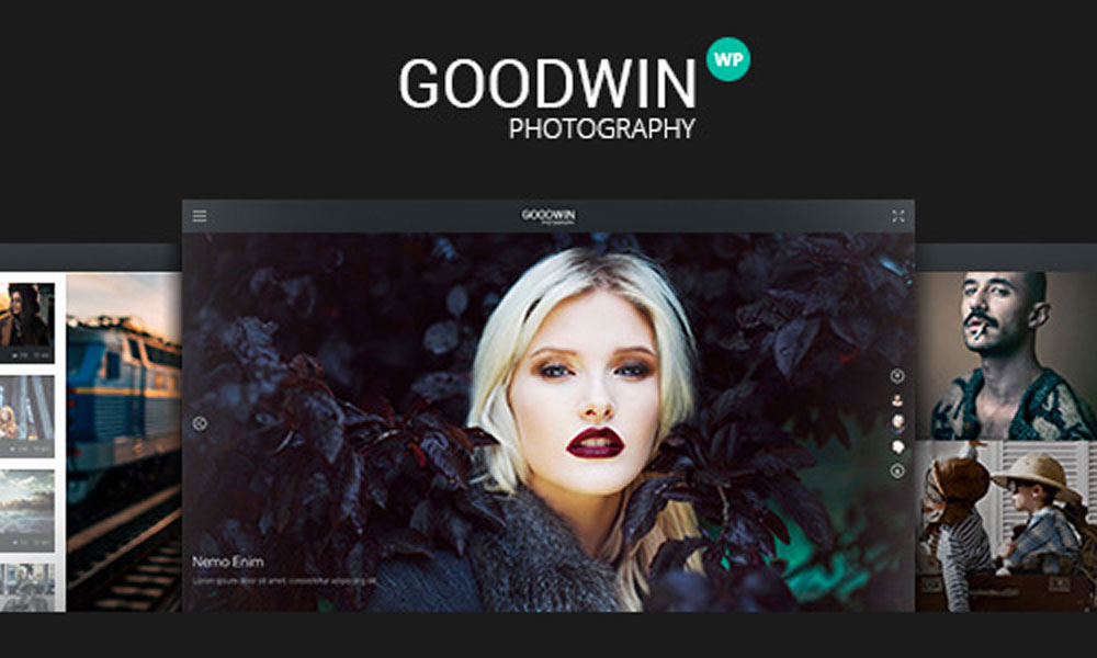 goodwin-wordpress-theme