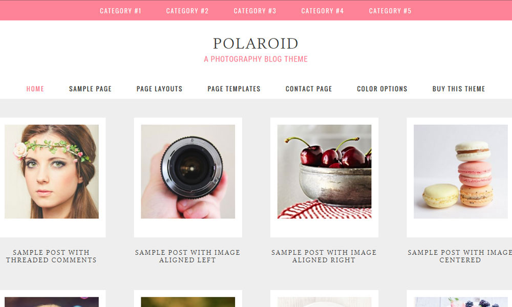 polaroid-wordpress-theme