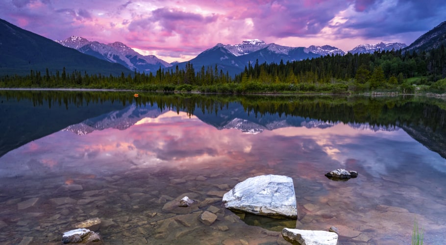 Lake and trees with purple sky wallpapers