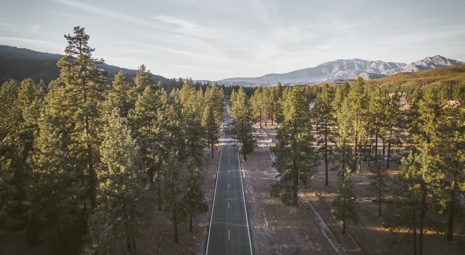 Road surrounded by trees wallpapers