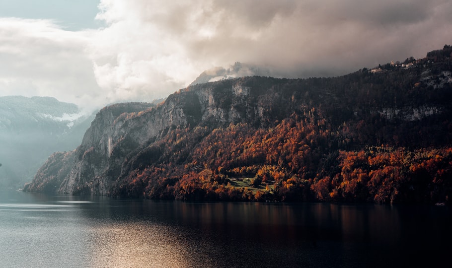 Autumn trees on the river wallpapers