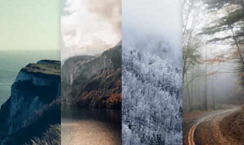 Wallpapers of the Month #3