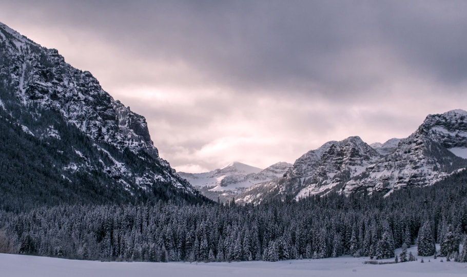 Frosty trees and mountains wallpapers