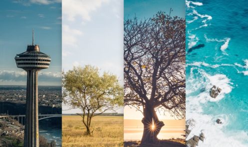 Wallpapers of the Month #5