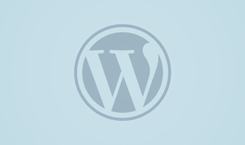 WordPress Tips & Tricks for Developers